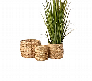 �� ��� �� ���� ���� ������� ��������