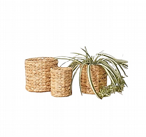 �� ��� �� ''���� ���'' ������� ��������